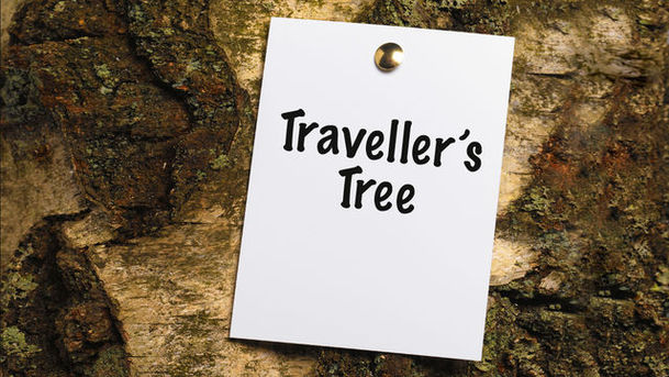 logo for Traveller's Tree
