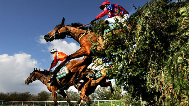 Logo for The Grand National