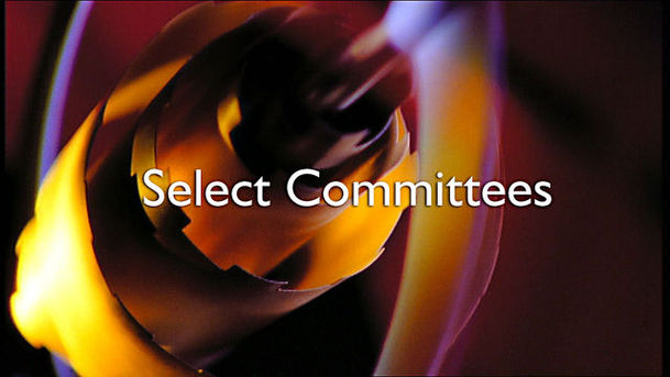 logo for Select Committees - Public Toilets Committee