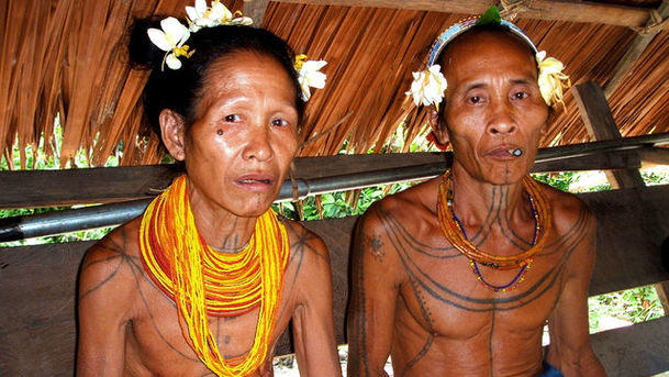 logo for Tribal Wives - Series 1 - Mentawai/Indonesia