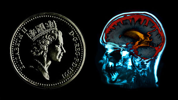 logo for Money on the Brain