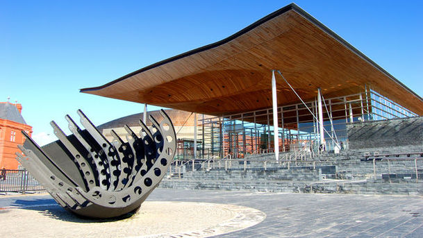 logo for Welsh Assembly - Display of Art