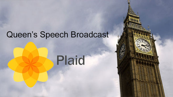 logo for Queen's Speech Broadcast - 2008 - Plaid Cymru