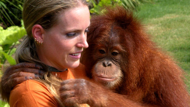 logo for Animals at Work - Series 1 - Surya the Eco-Orangutan