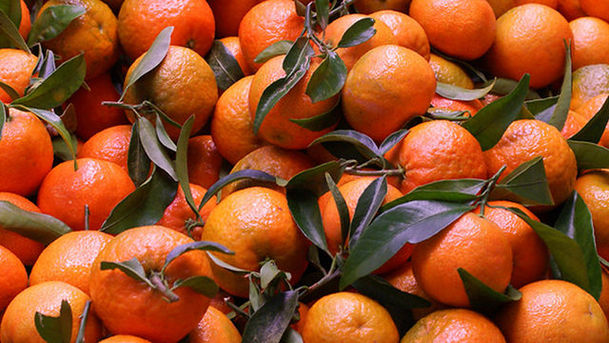 Logo for Food Programme - Sicilian citrus industry