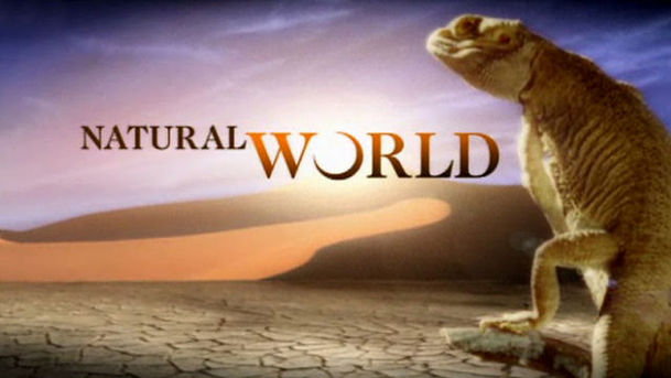 logo for Natural World - 2008-2009 - A Farm for the Future
