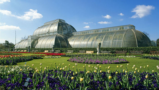 logo for Cruickshank on Kew: The Garden That Changed the World