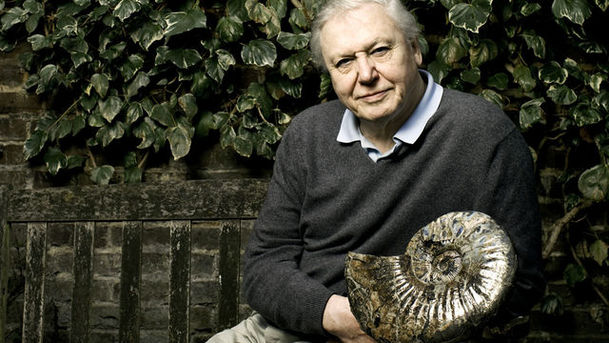 logo for David Attenborough's Life Stories - Giant Birds