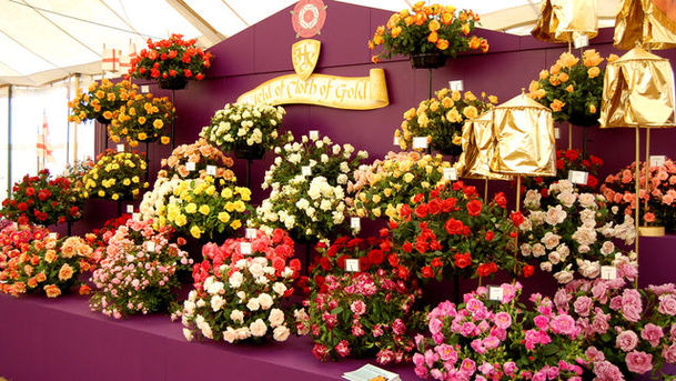 logo for Hampton Court Palace Flower Show - 2009 - Episode 2
