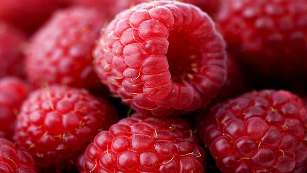 Logo for Food Programme - Chefs' Choices Number 3: Raspberries