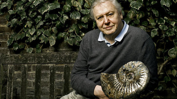 logo for David Attenborough's Life Stories - Bird's Nest Soup