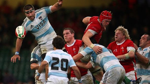 logo for Rugby Union - 2009/2010 - Wales v Argentina