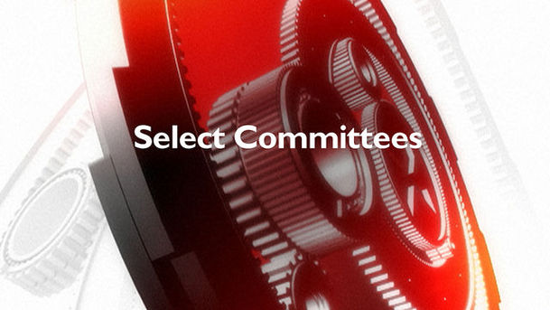 Logo for Select Committees - UKFI & European Financial Regulation