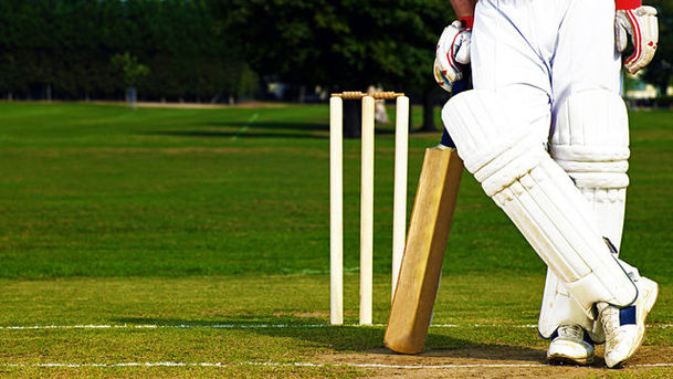 logo for Dave Podmore on the Stump