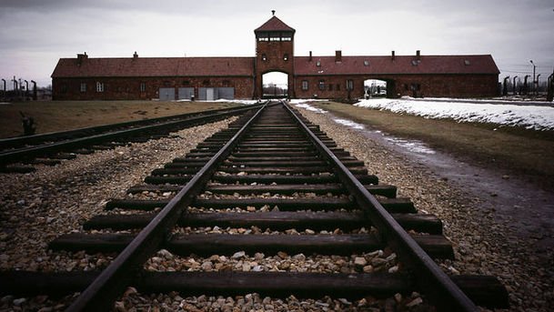 Logo for Repairing Auschwitz