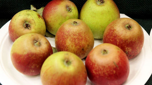 Logo for Food Programme - Northern Apples