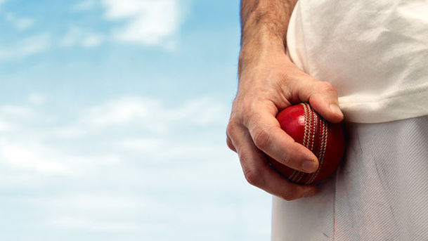 logo for International Cricket - 16/01/2011