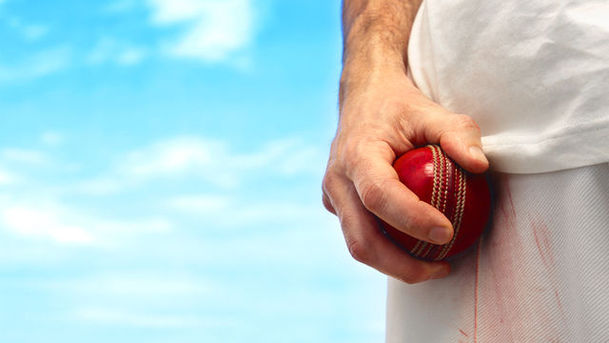 Logo for Cricket