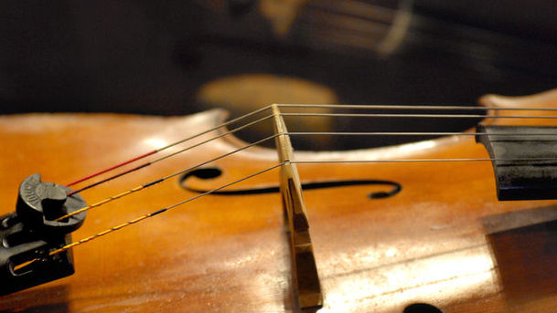 Logo for The Lost Stradivarius