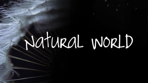 logo for Natural World - 2008-2009