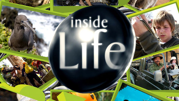 logo for Inside Life