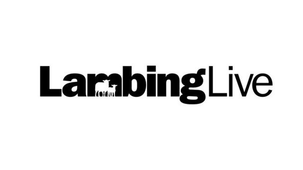 logo for Lambing Live - Series 1
